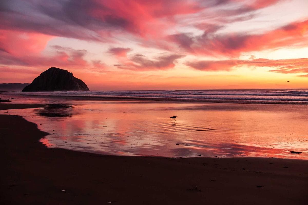 Artículo Académico de Ejemplo 4